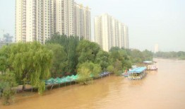 黄河公园爆料最新消息,揭秘公园神秘事件背后的真相