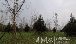 黄河公园爆料最新消息,揭秘公园神秘事件背后的真相