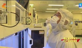 石家庄电子厂爆料视频最新,揭秘生产线真实情况